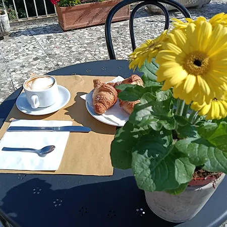 Hotell Robinia