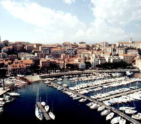 Robinia インペリア